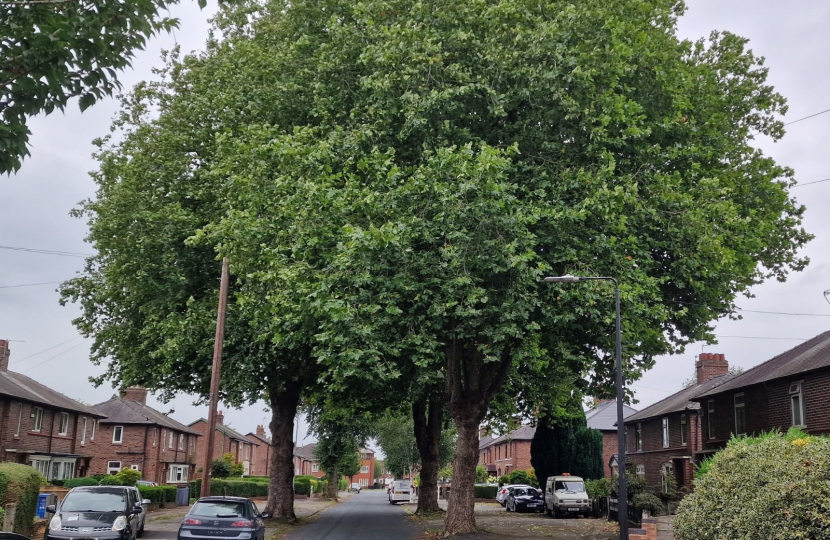 tree hulme road