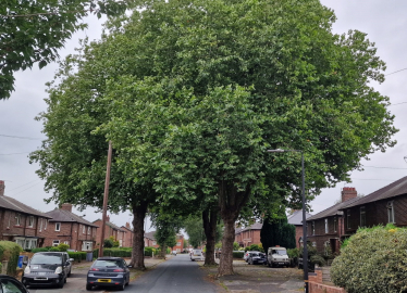 tree hulme road